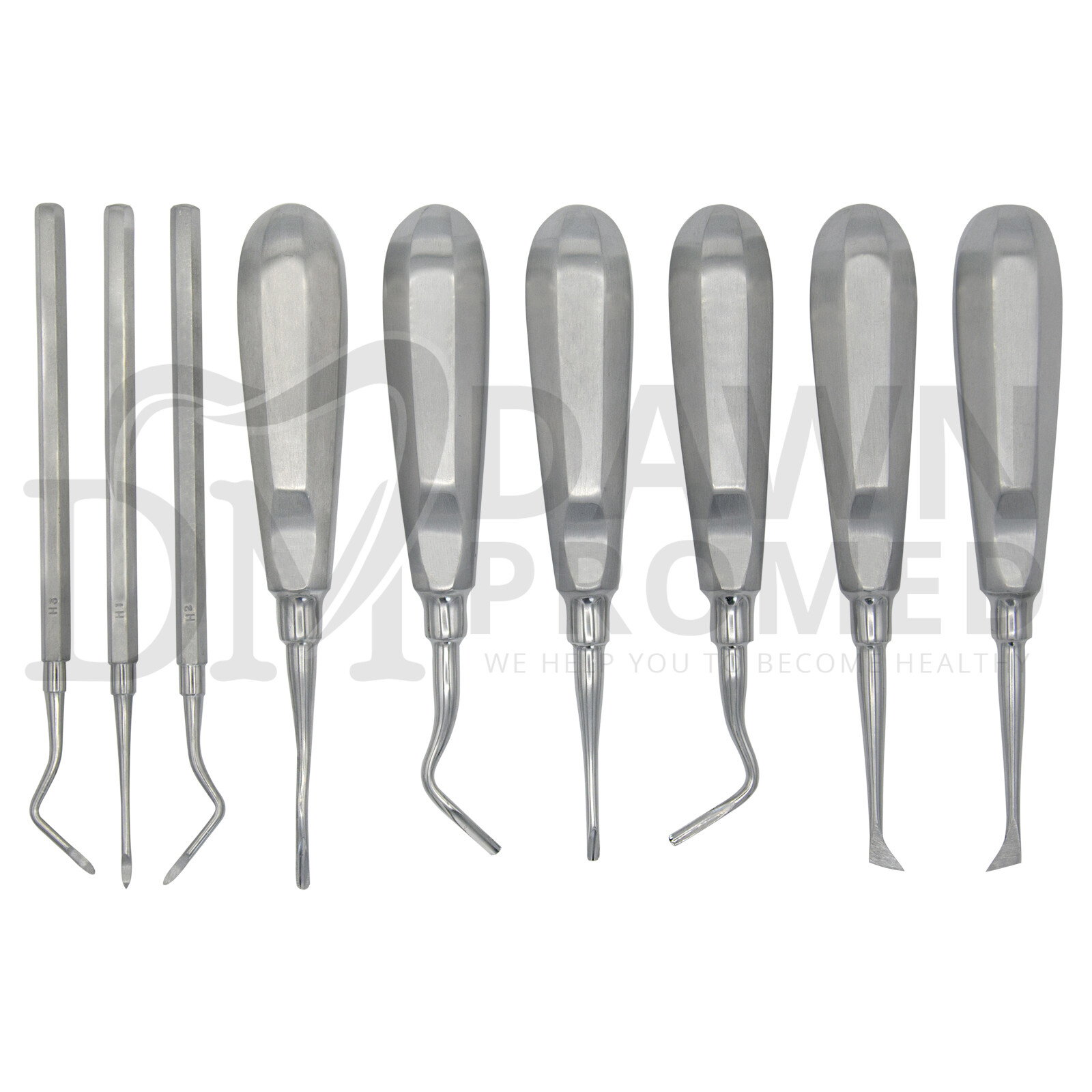 32 Pcs Oral Dental Extraction Surgery Extracting Elevators Forceps German Grade