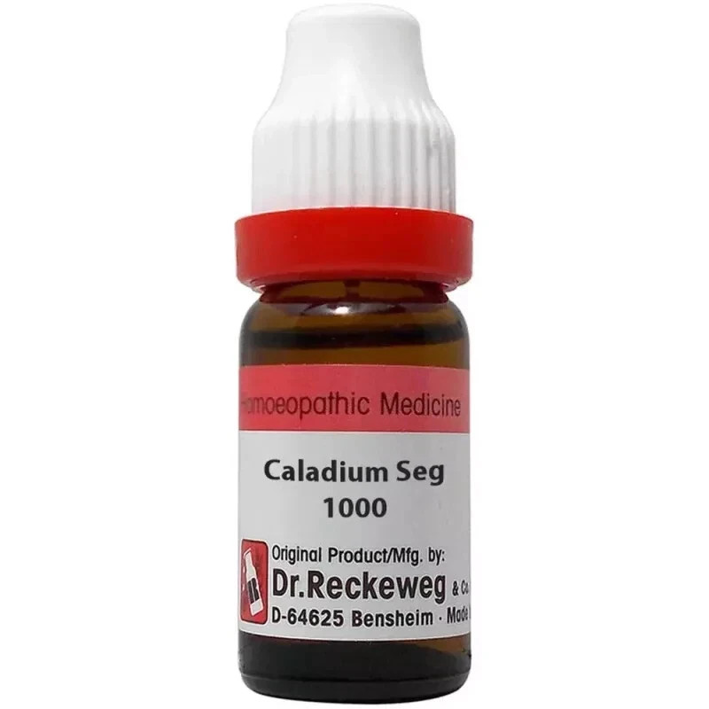 Dr. Reckeweg Caladium Seguinum 1000 ch (20ml) Free Shipping WW