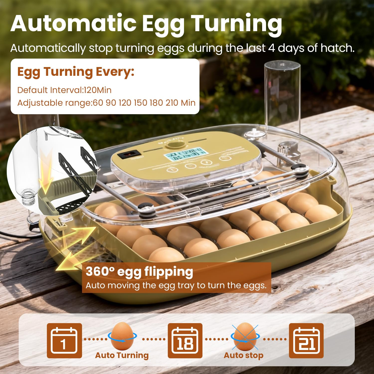Incubators for Hatching Eggs,24 Eggs Capacity with Automatic Turning, Accurate T