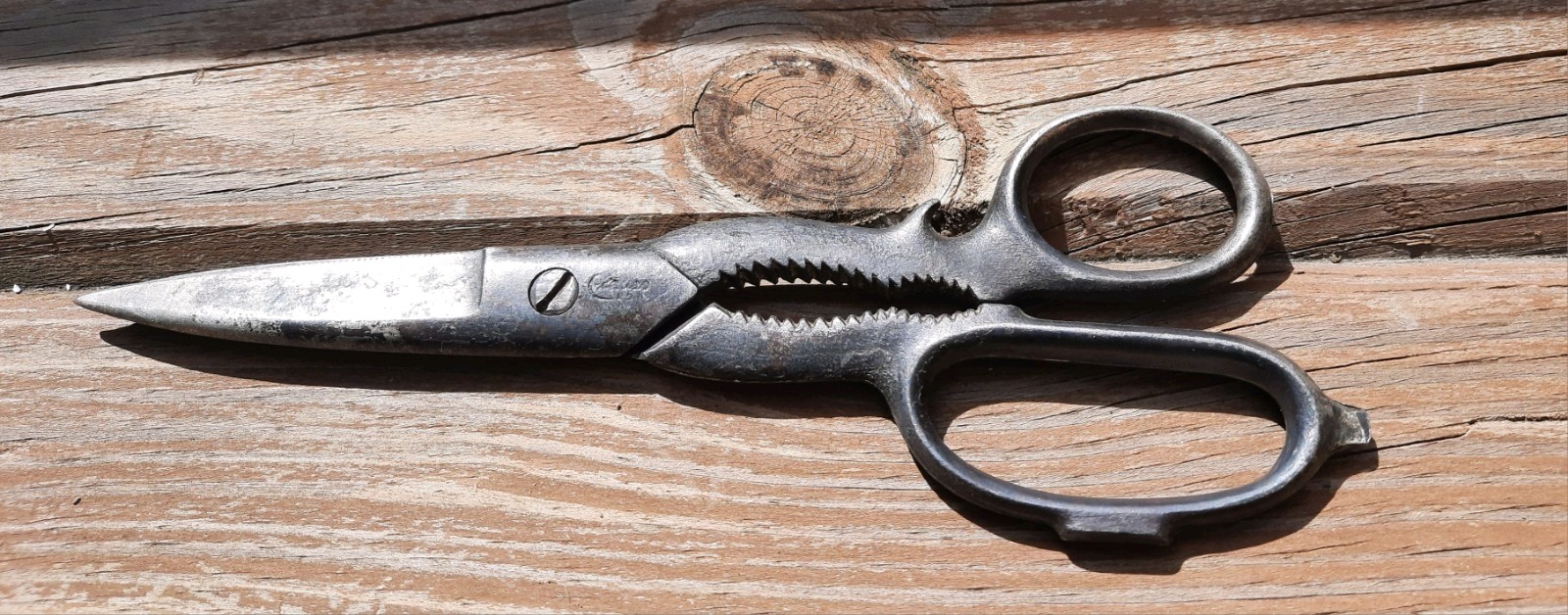 Vintage Clauss Kitchen Shears