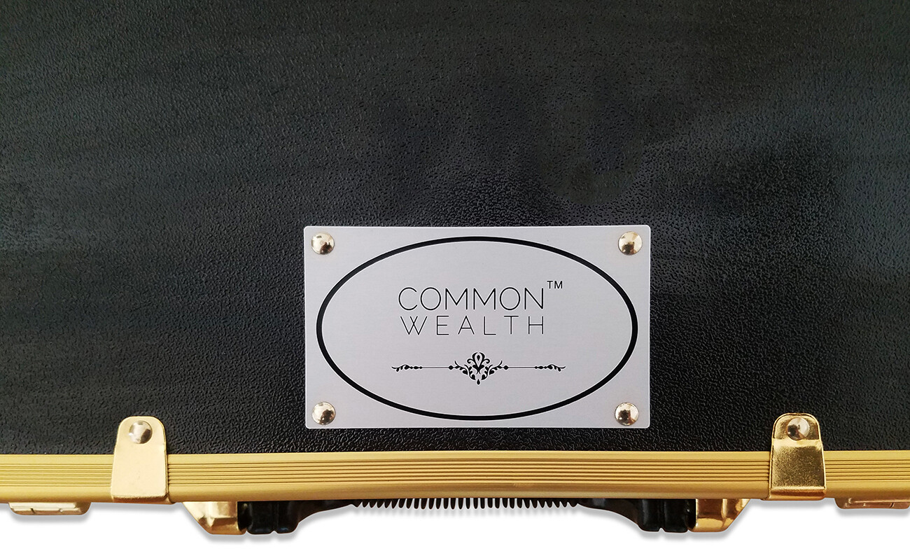 Common Wealth Gold Barber Lock Case Organizer Clippers Trimmers Tools Holder