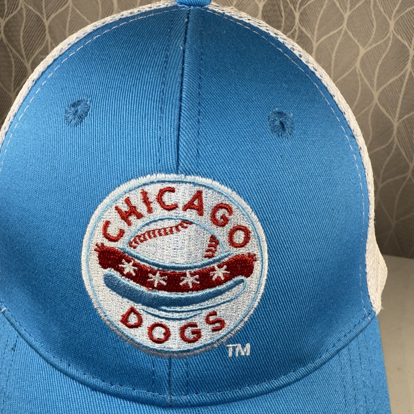 Chicago Dogs Logo Patch on Brite BLue White Mesh Trucker hat Cap Hook Loop