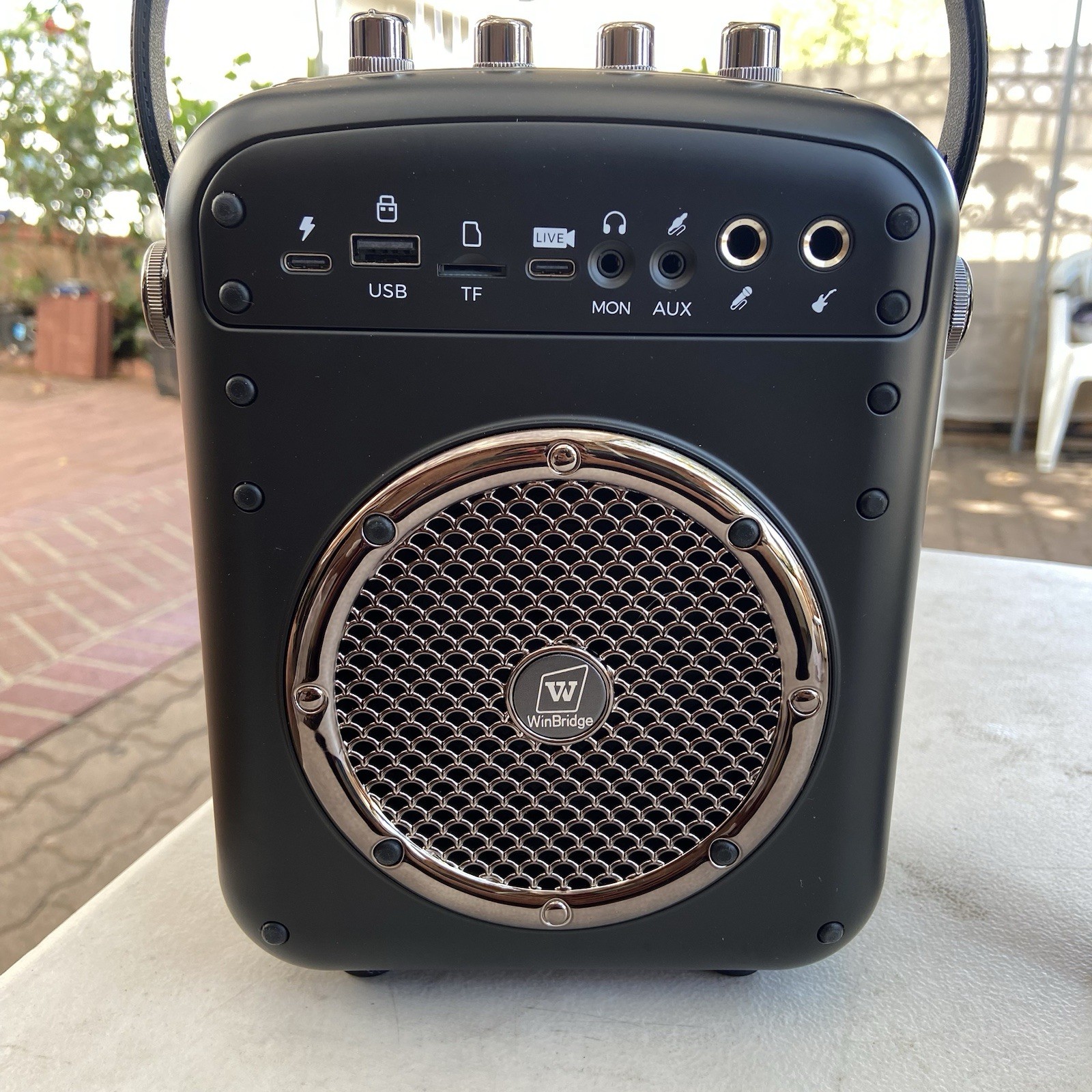 WinBridge S100 70W Voice Amplifier and Speaker with Mic, Bluetooth PA System