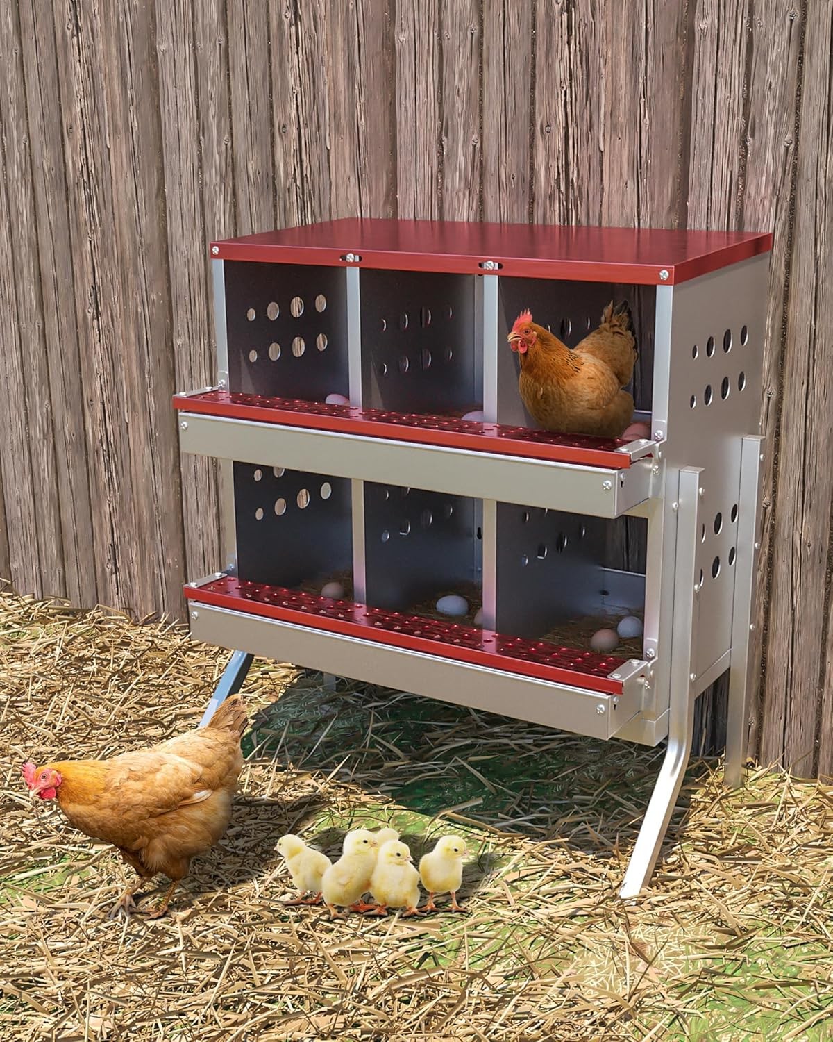 6 Holes Chicken Nesting Boxes Coop Metal Chicken Egg Laying Box Red/Green