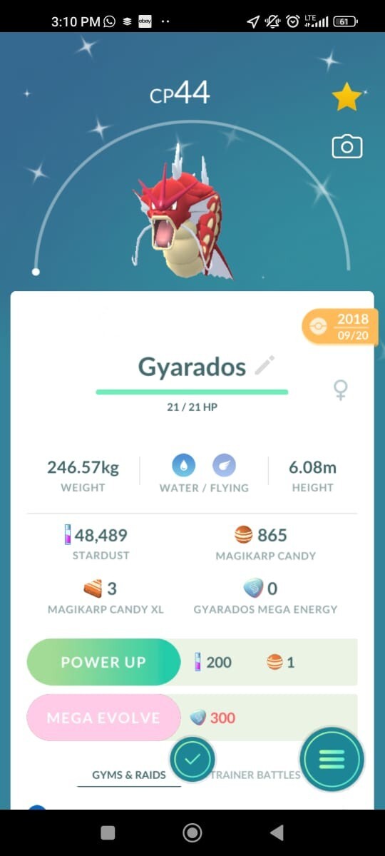 Pokemon Gyarados Shiny 2019 lucky Guaranteed