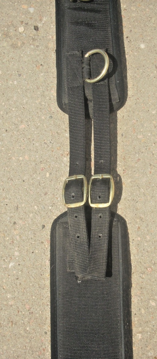 10-Ring Neoprene Lined Nylon Surcingle for Training/Lunging/Ground DrivingHorses