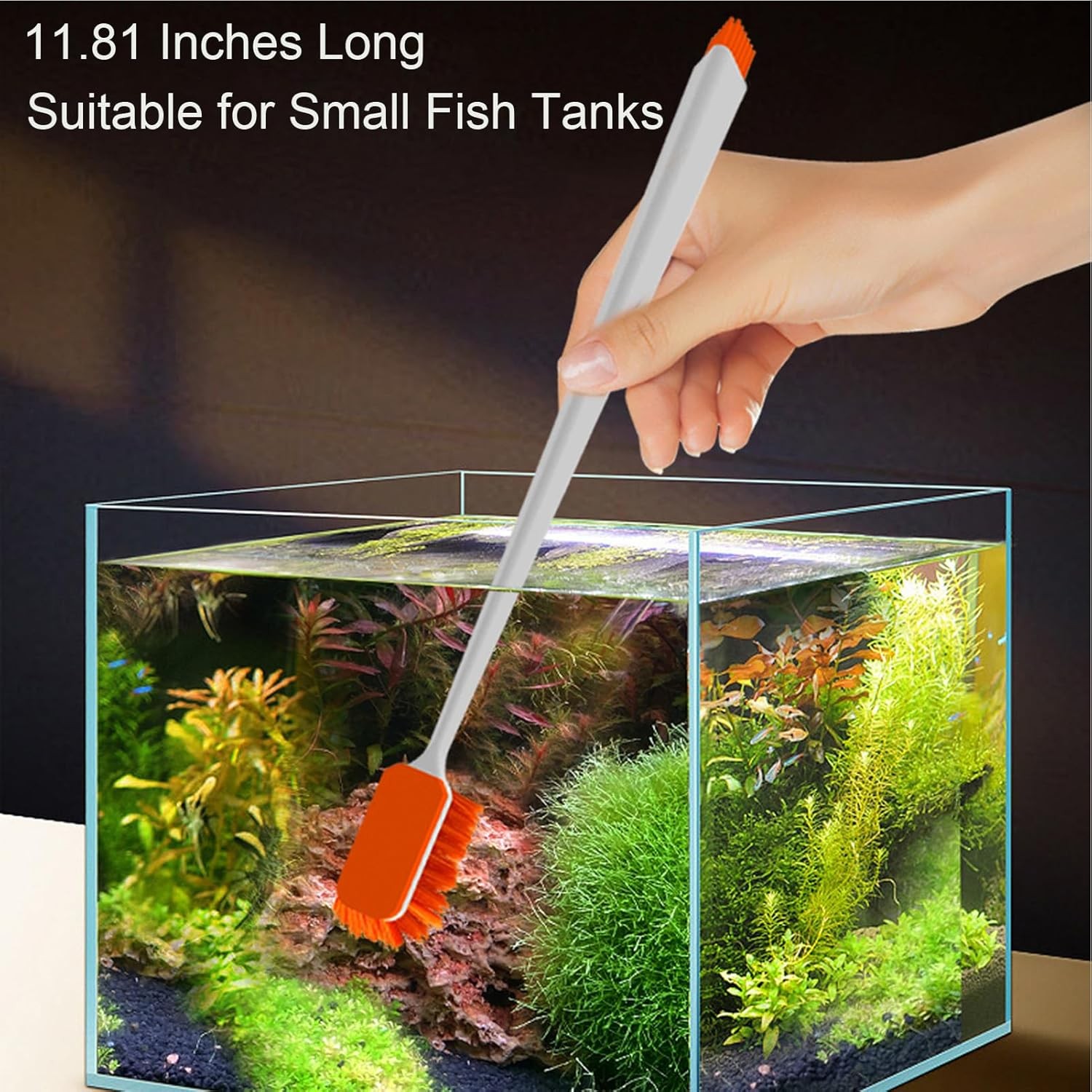 Small Fish Tank Cleaner - Algae Scraper for Glass Aquariums - 11.8 Inch