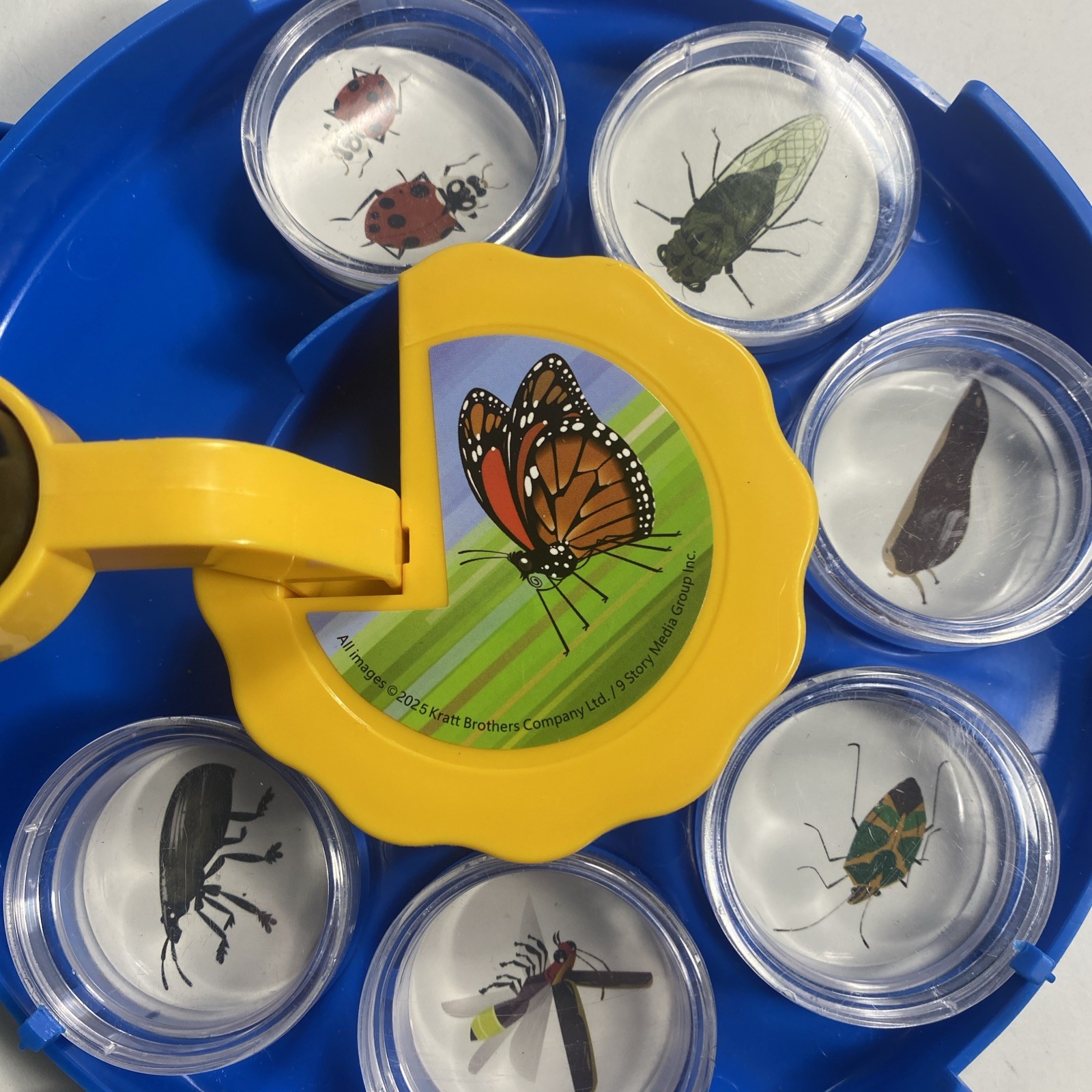 All Images Bug Viewing Kit By Kratt Brothers Ltd.