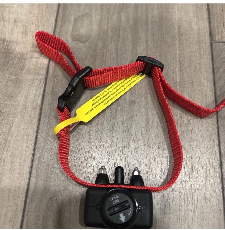 PetSafe Basic Bark Control Waterproof Collar