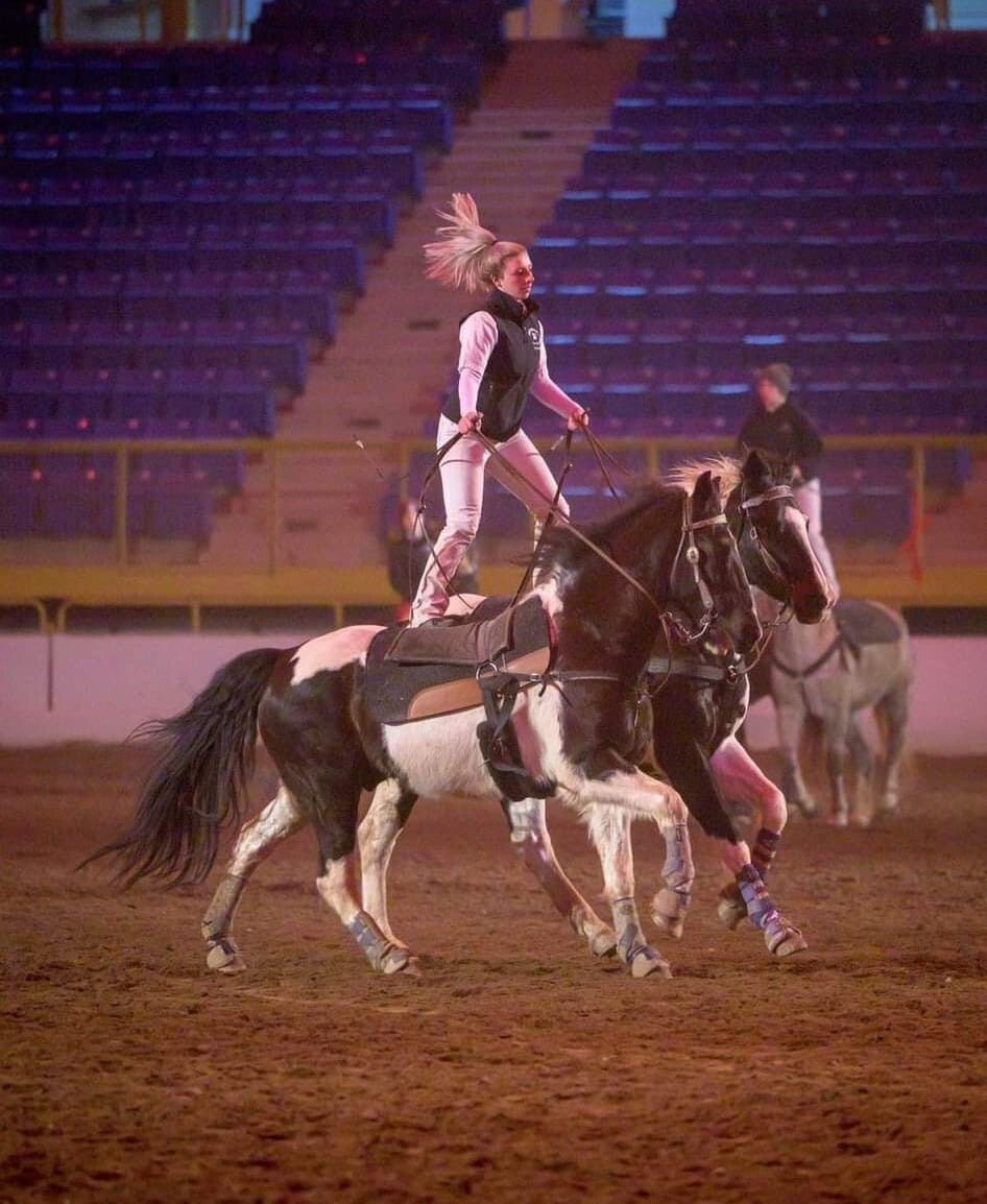 Roman Riding Pads