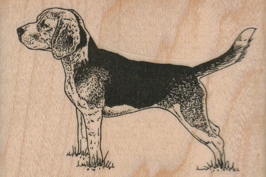 Beagle Dog  Rubber Stamp 3 x 2", Cute Dog, Dog Stamp, Beagle Stamp