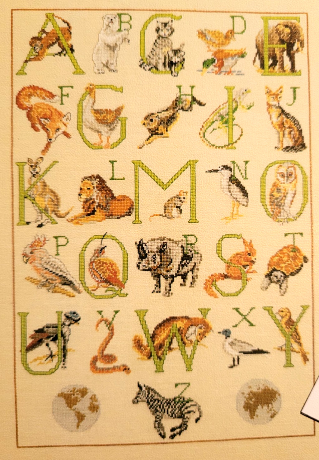 3 alphabets, Australian Alphabet, Animal Alphabet 502, Wild Flower ABC 150406
