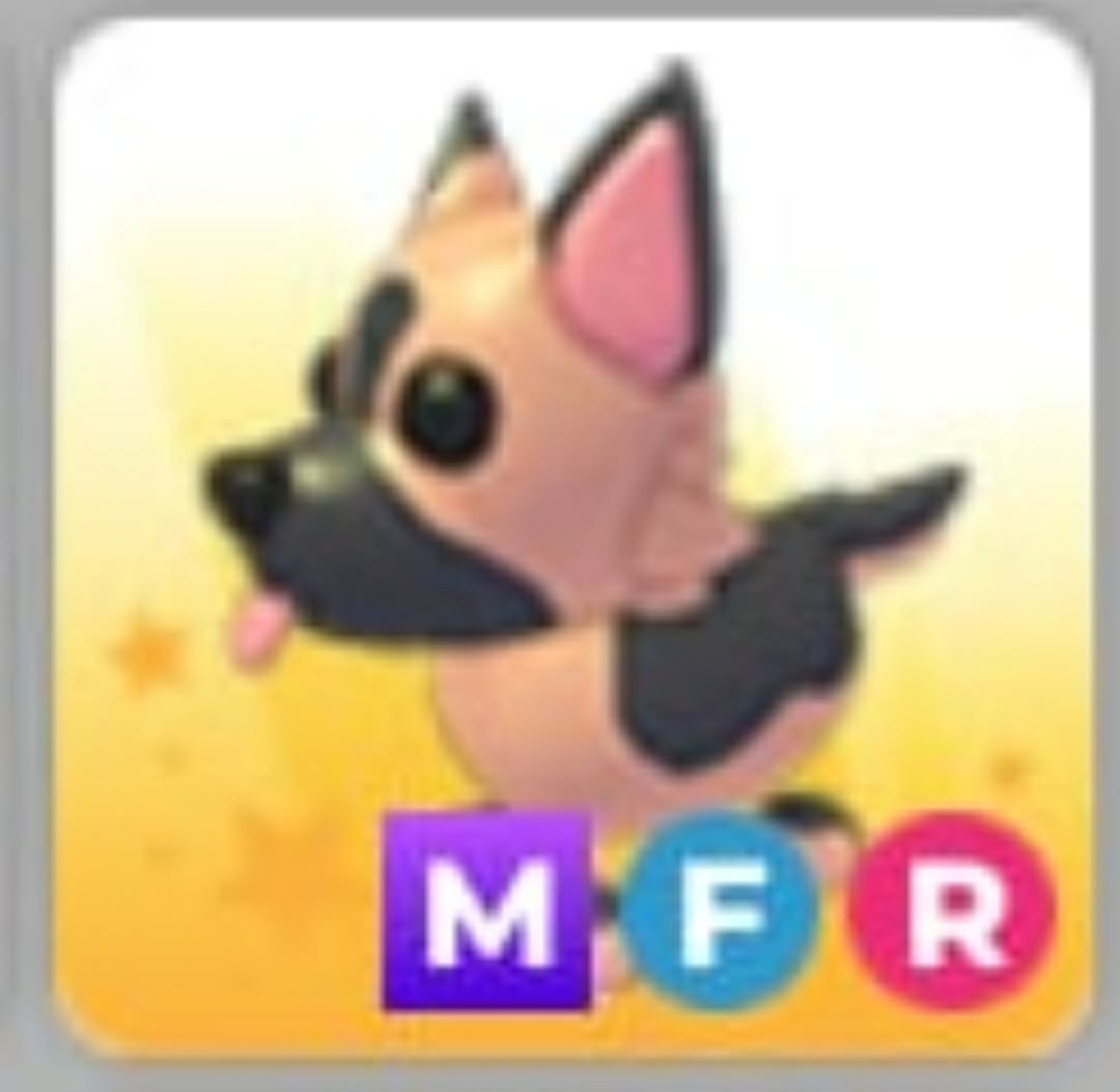 German Shepherd  | MFR | Adopt Now