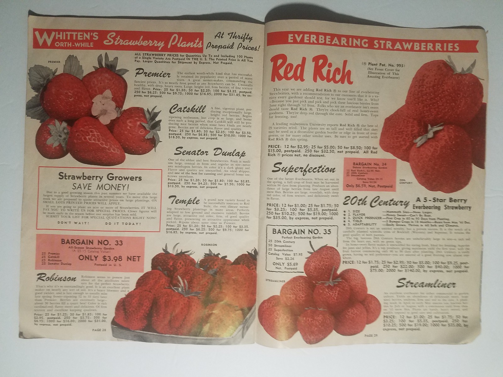 1955 Whitten Nurseries Catalog