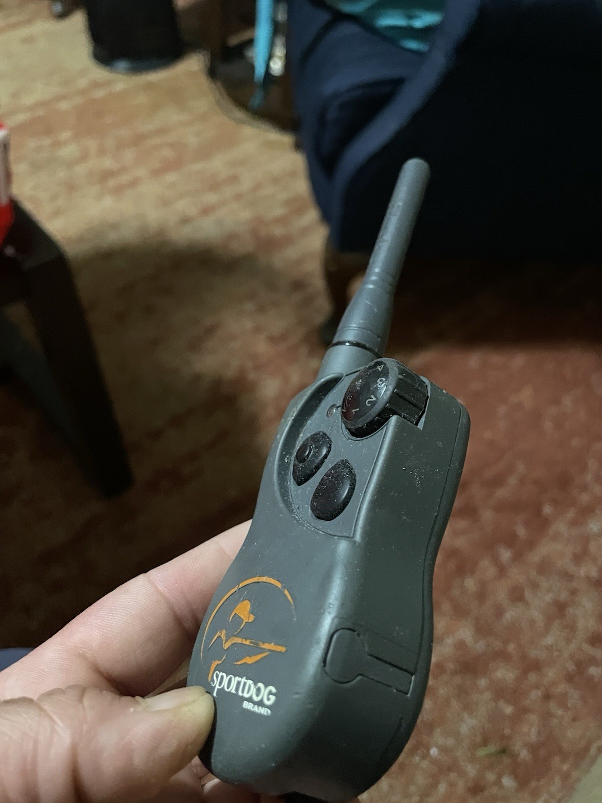 SportDOG Remote Training System Handheld Transmitter, Gray, Hunting
