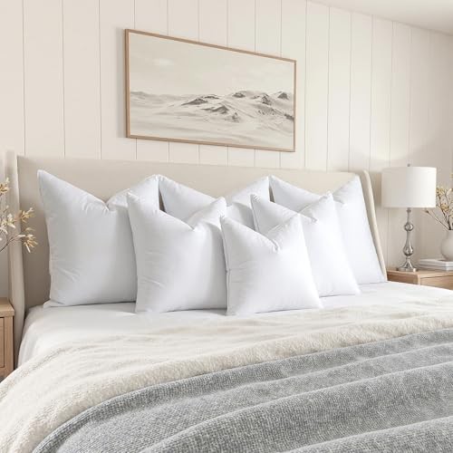 4x4 Euro Pillow Inserts, Pack of Down Feather Premium 24x24 Inch (Pack of 2) 2