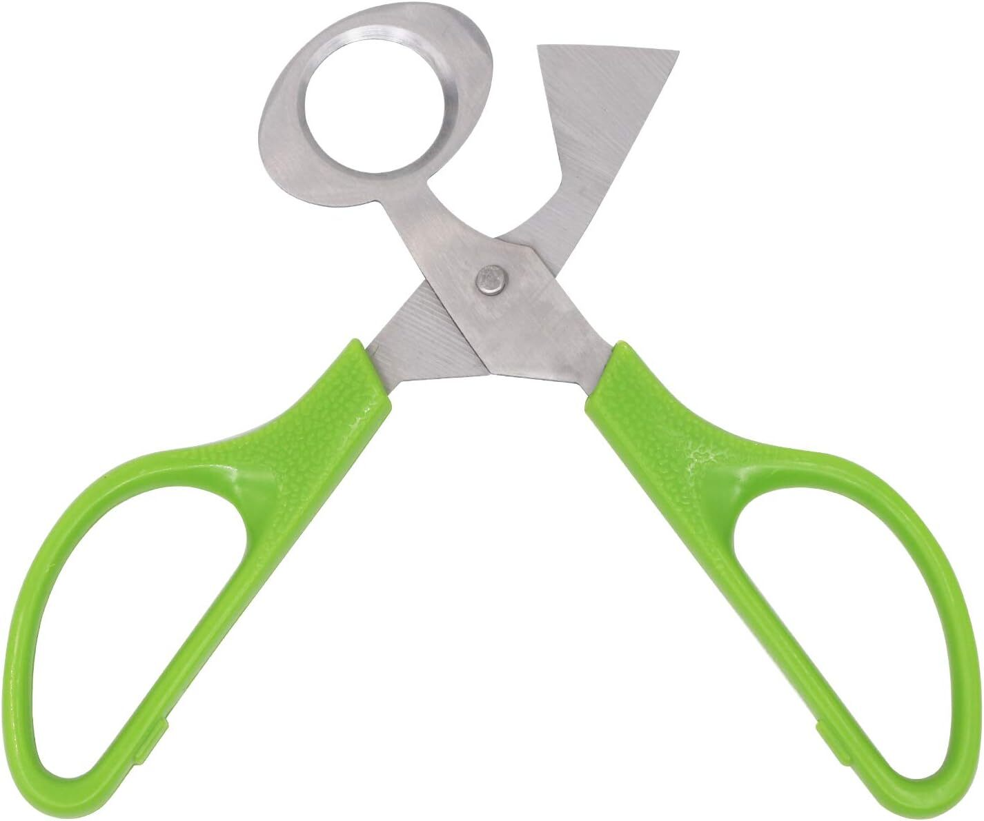 Quail Roast egg scissors eggshell scissors eggshell opening divider scissors Lot