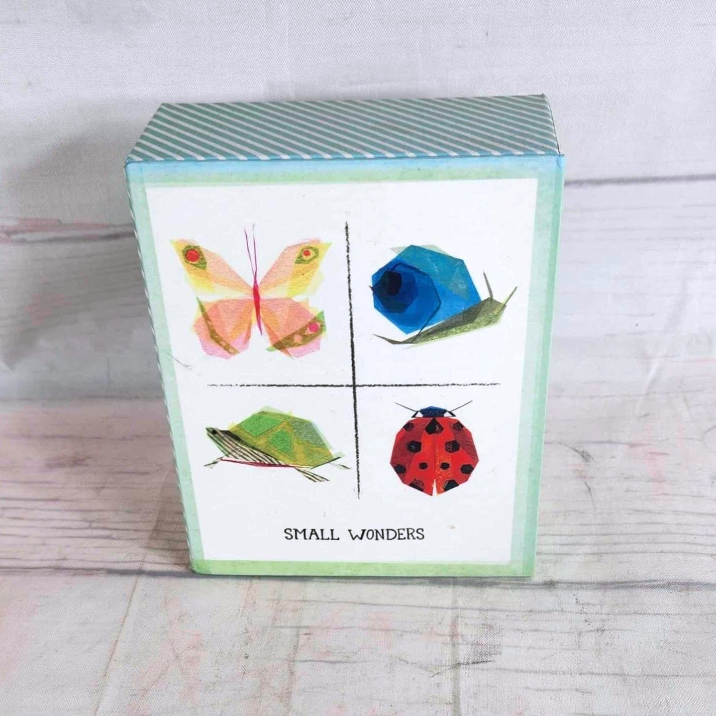Papyrus Small Wonders Note Cards Green Butterfly Snail Turtle Ladybug Set 20ct