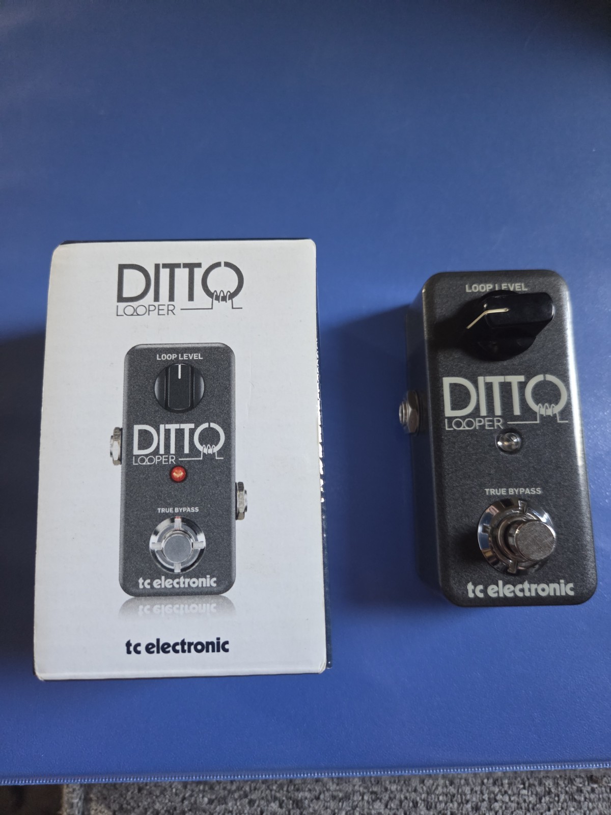 Ditto Looper True Bypass Tc Electronic  Brand New In Box!