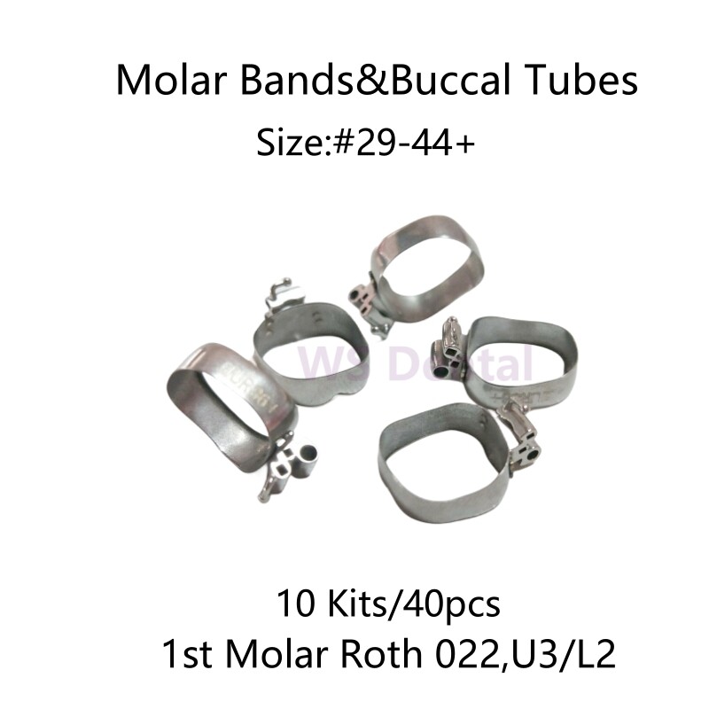 40Pcs Dental Orthodontic Bands & Buccal Tubes 1st Molar Roth 022 U3/L2 #29-44+