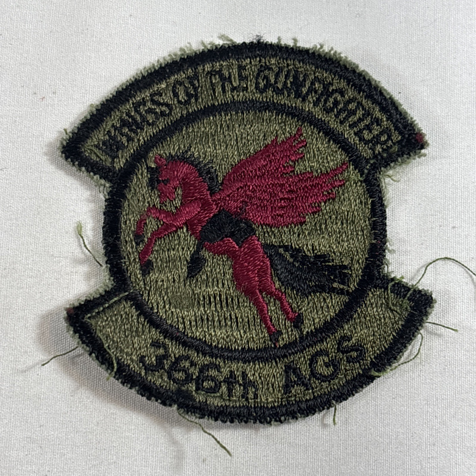 USAF 366th Aircraft Generation Squadron Subdued Patch Mountain Home AFB