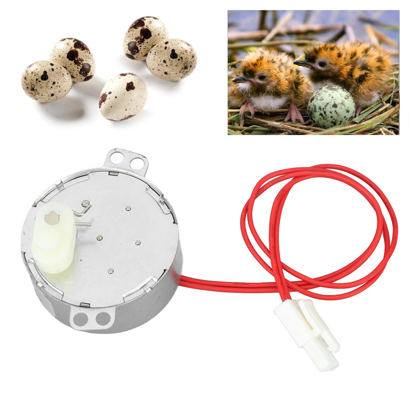 Egg Turnner Motor 4W Egg Turner Rotator Incubator Motor For Chickens Ducks New