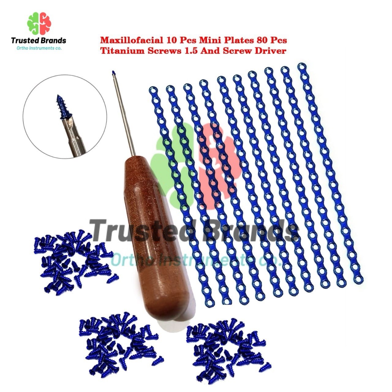 Maxillofacial 10 pcs Mini Plates 20 Holes & 100pcs Titanium Screws With S Driver