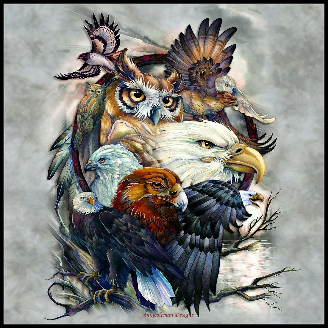 Owls and Hawks - Chart Counted Cross Stitch Patterns Needlework DMC Color