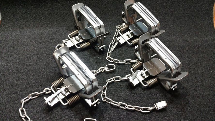 4 BRIDGER # 2 RUBBER JAW TRAPS TRAPPING COYOTE TRAPS LIVE MARKET TRAP