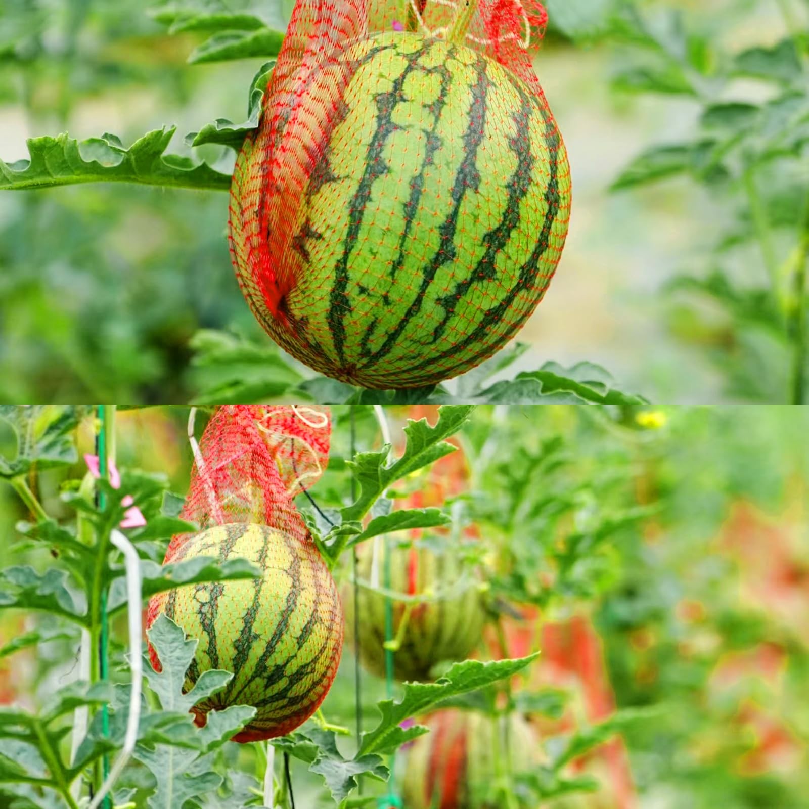 Iceyyyy 100 Pack Watermelon Nets,Hanging Nets Bags 100pcs