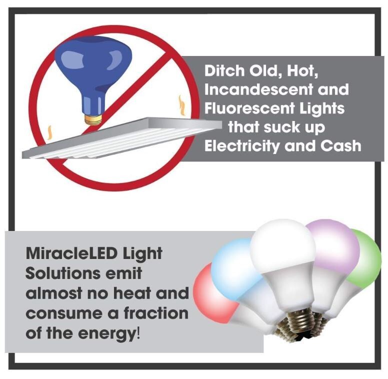 NEW! Miracle LED 6FT Single Socket Indoor Grow Corded String Light