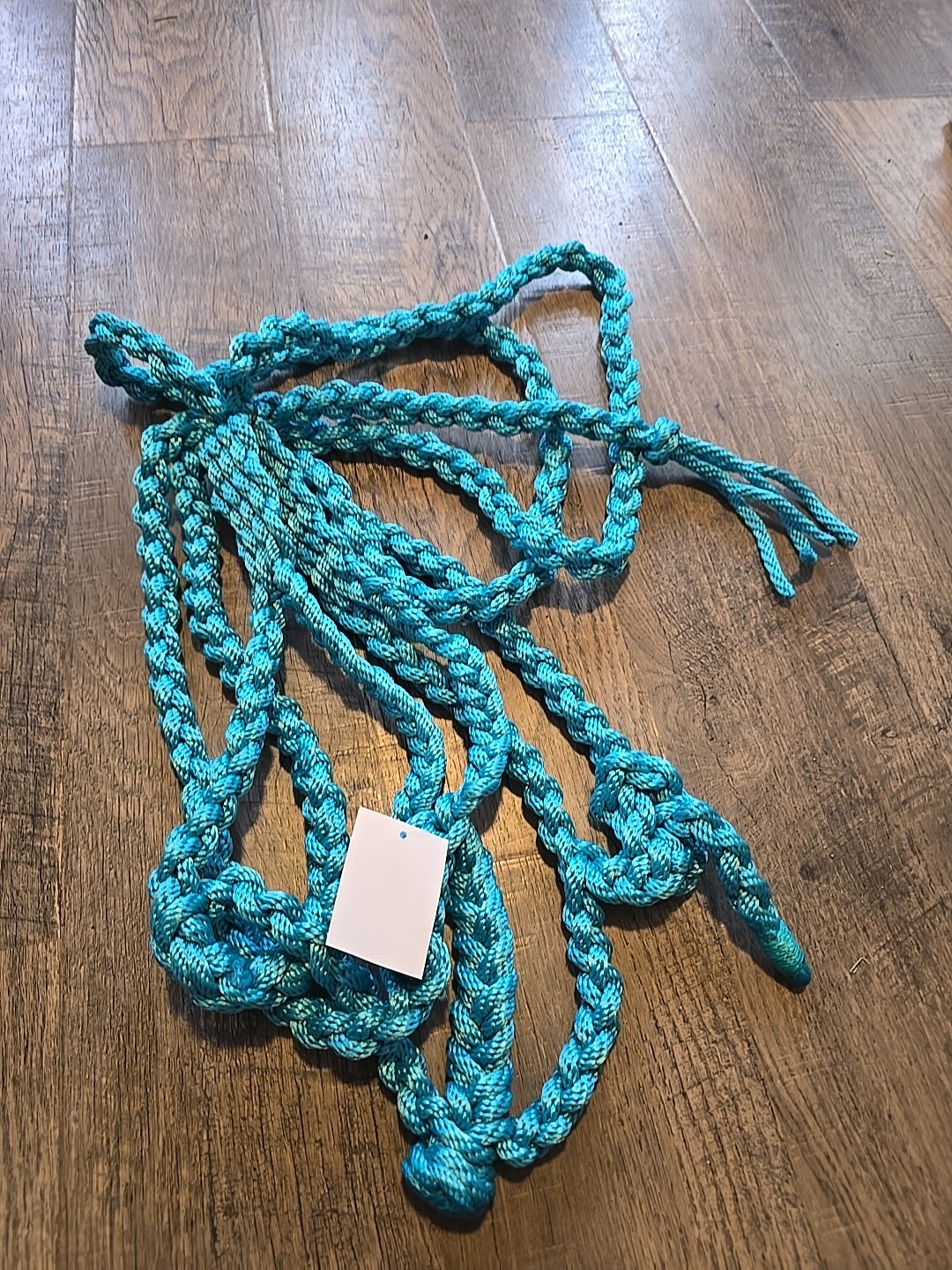 mule tape halter