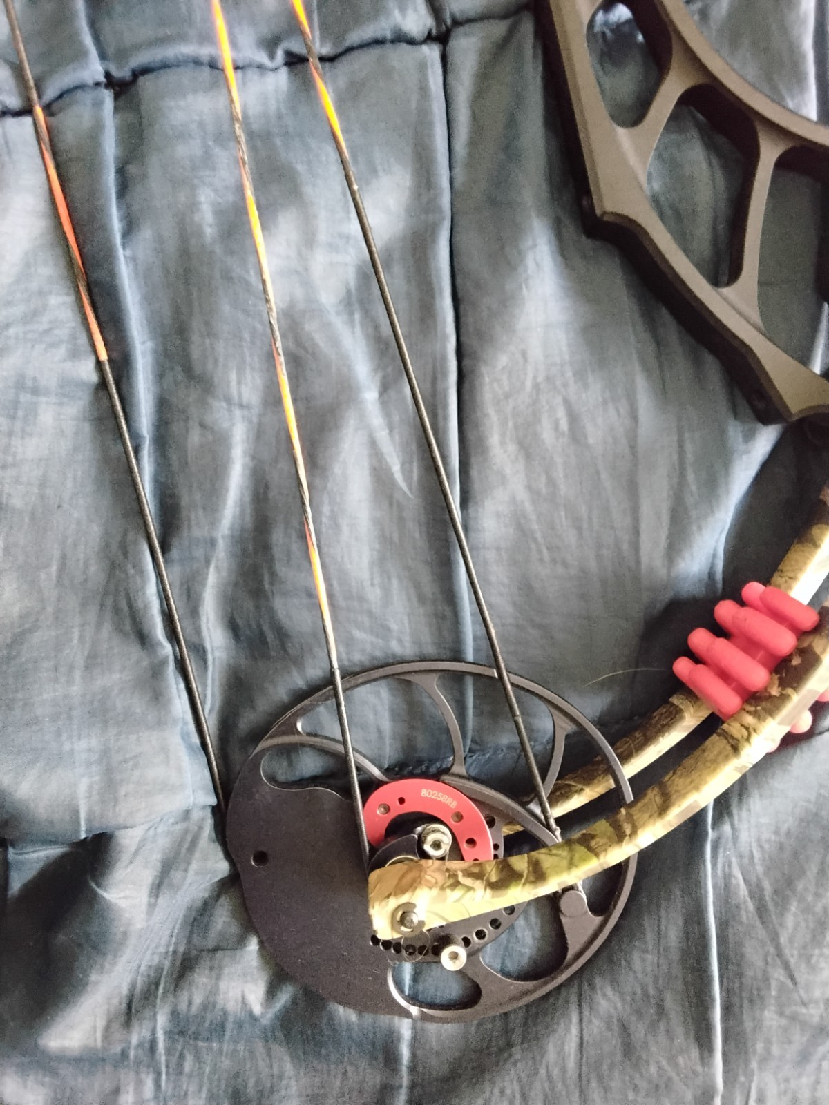 PSE Hammer 60lbs