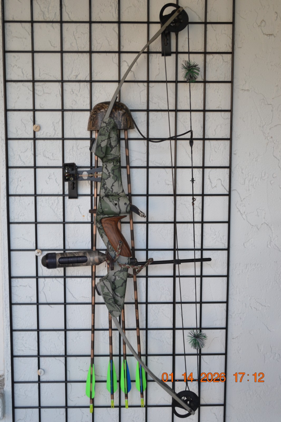 Vintage Darton Compound Bow. Right Hand. Excellent condition with arrows