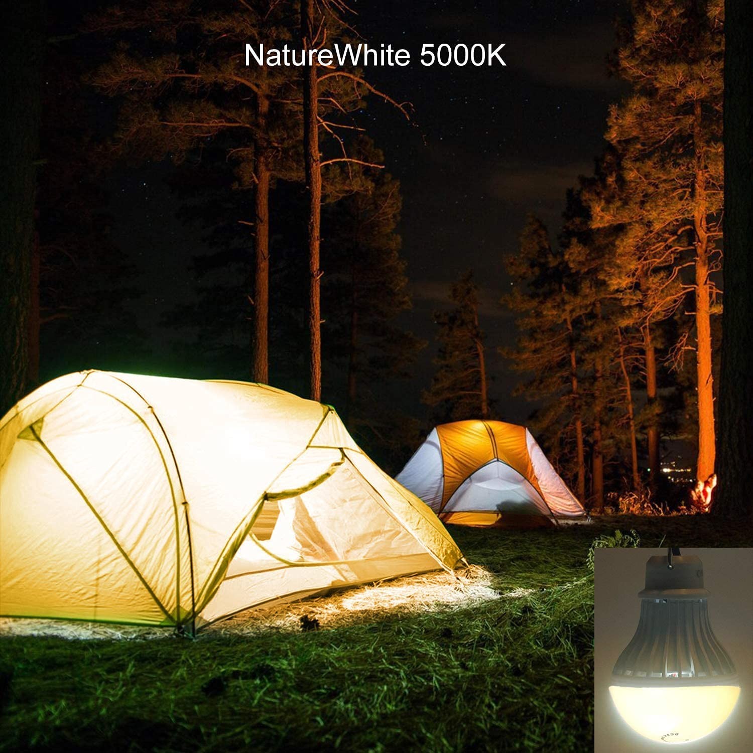 2-Pack USB LED Light Bulb, Emergency Backup Lighting for Camping, Garage, Pow...