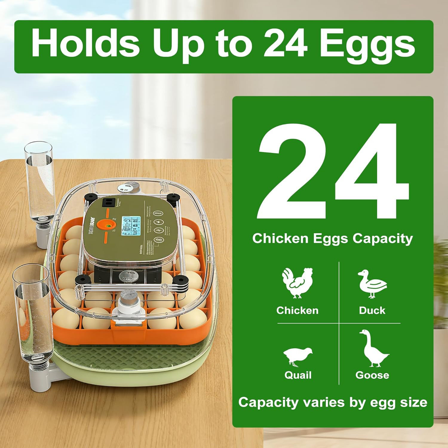 24-Egg Digital Incubator - Automatic Temperature and Humidity Control, LED Displ