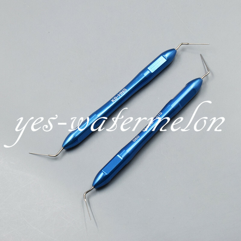 Dental Endodontic Endo Buchanan Hand Plugger Tip Fill Obturation Screw-type