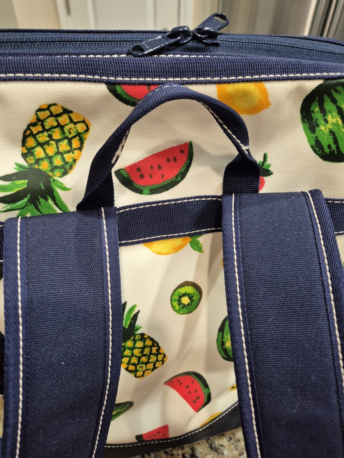 Lands' End Insulated Cooler Backpack Fruit Design