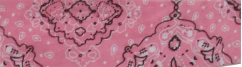 DC122 Zan Headgear Paisley Cooldanna Fashion Tie-Pink / One Size