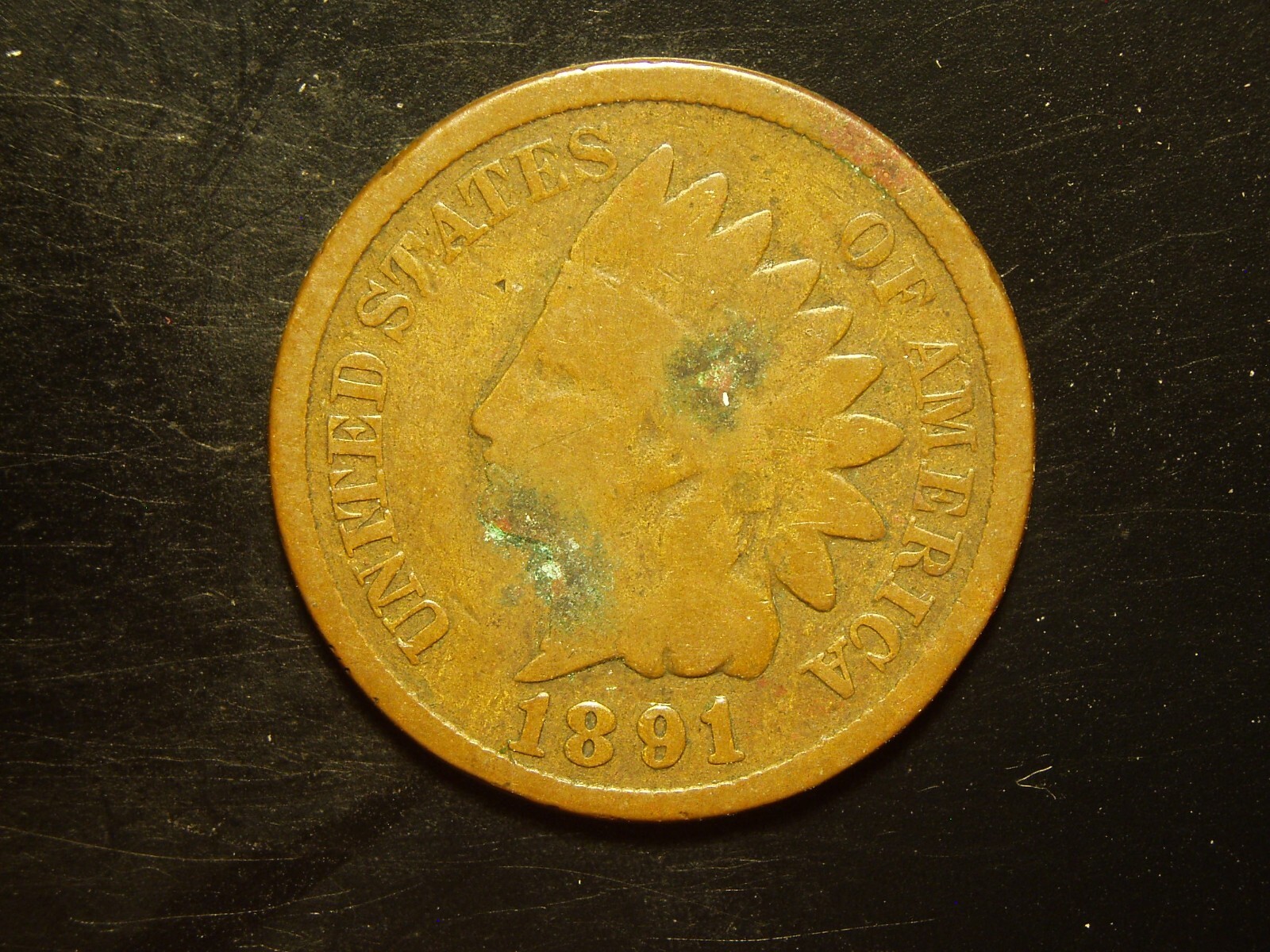1891  INDIAN HEAD CENT #21