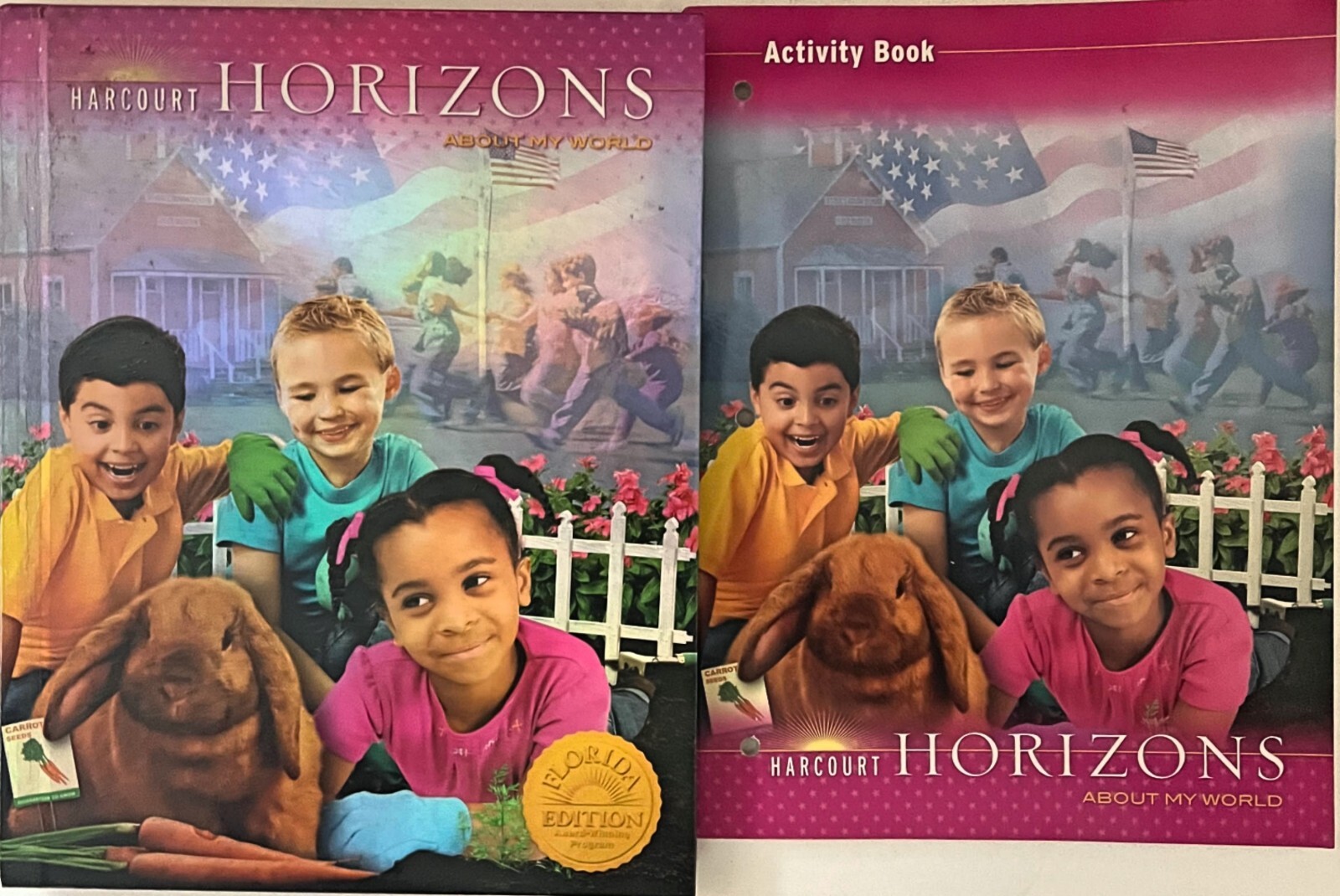 Grade 1 Social Studies History Bundle 1st Curriculum Homeschool History Lot