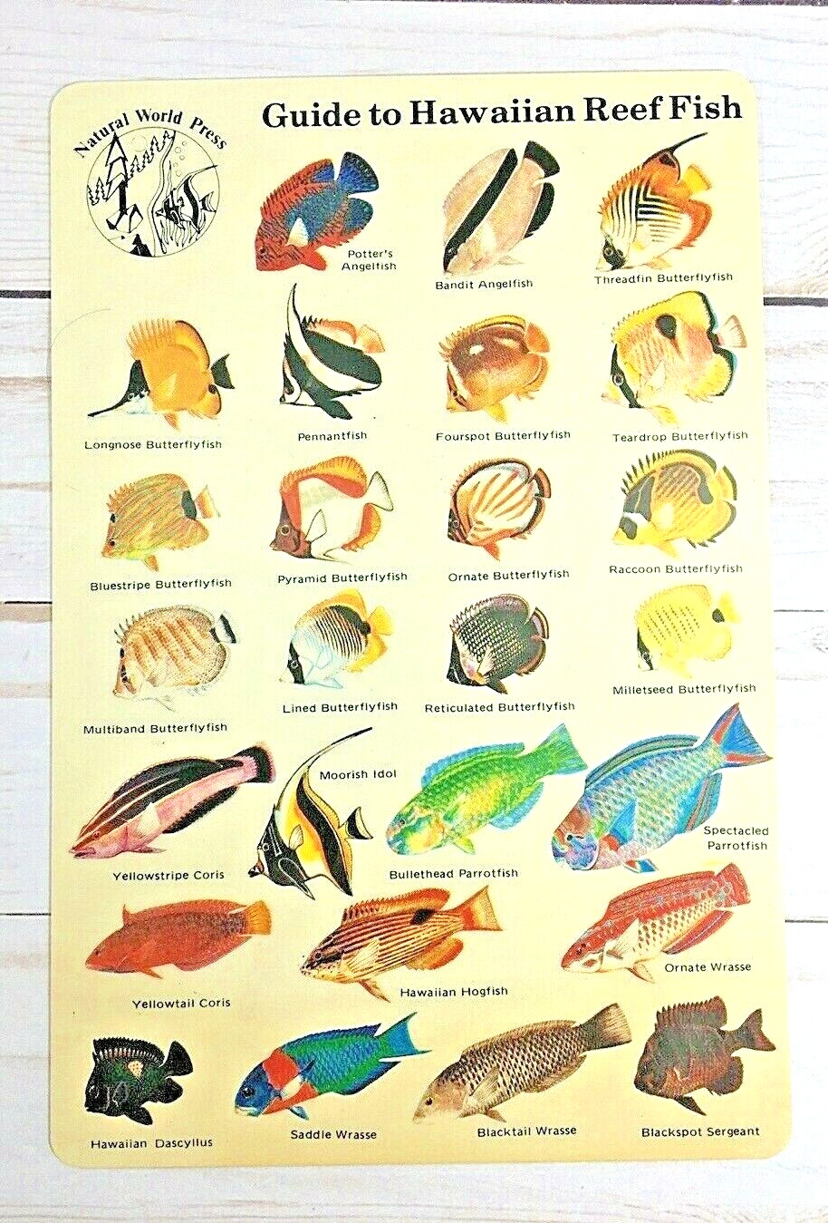1983 Natural World Press Guide to Hawaiian Reef Fish ID Card 6x9 Scuba Snorkel