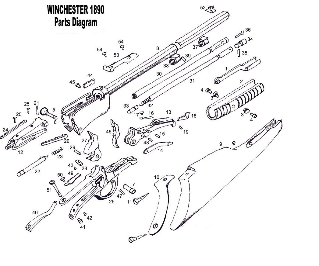 Winchester Model 1890, 1906, 62 & 62A Main Spring Screw - Win Part # 8190