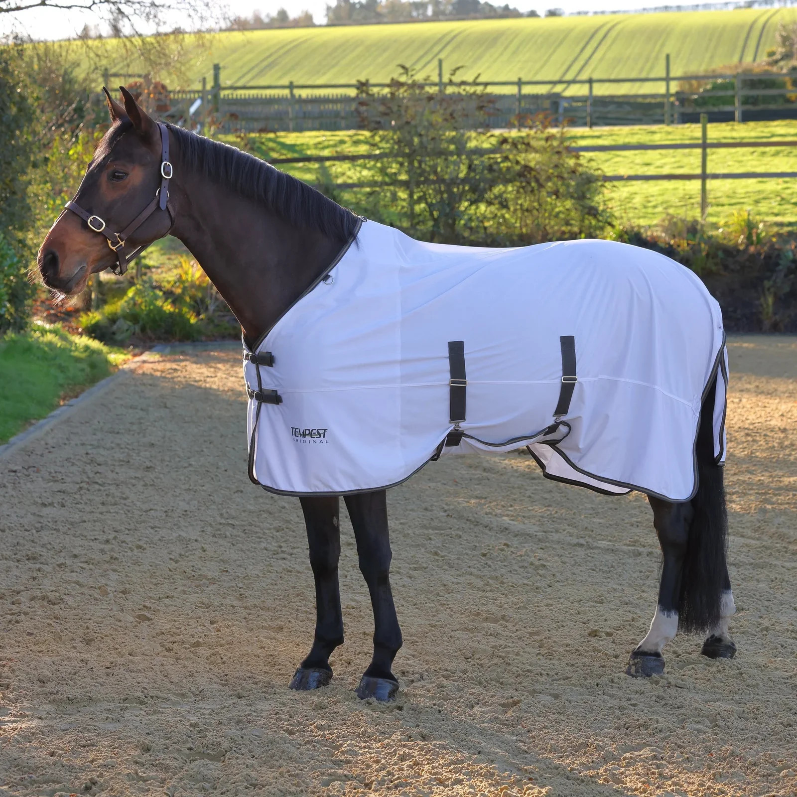 Shires Tempest Original Standard Neck Fly Sheet - Breathable Mesh Protection -