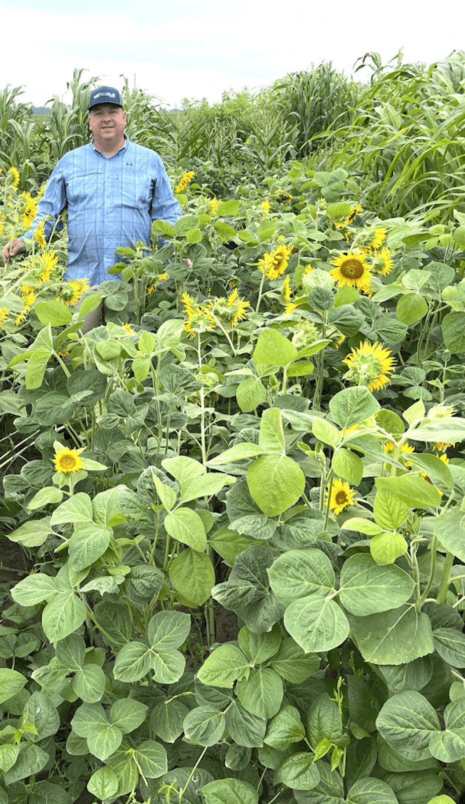 Eagle Seed ESCO Summer Blend™ for Deer | Food Plot Habitat Seed