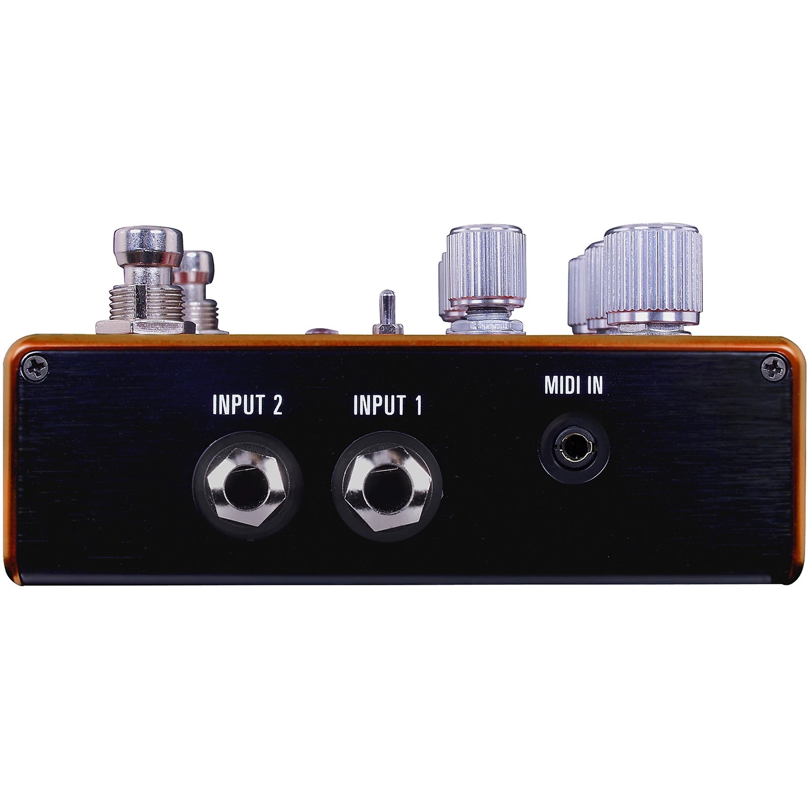 Source Audio Pathways Reverb + Tremolo Effects Pedal