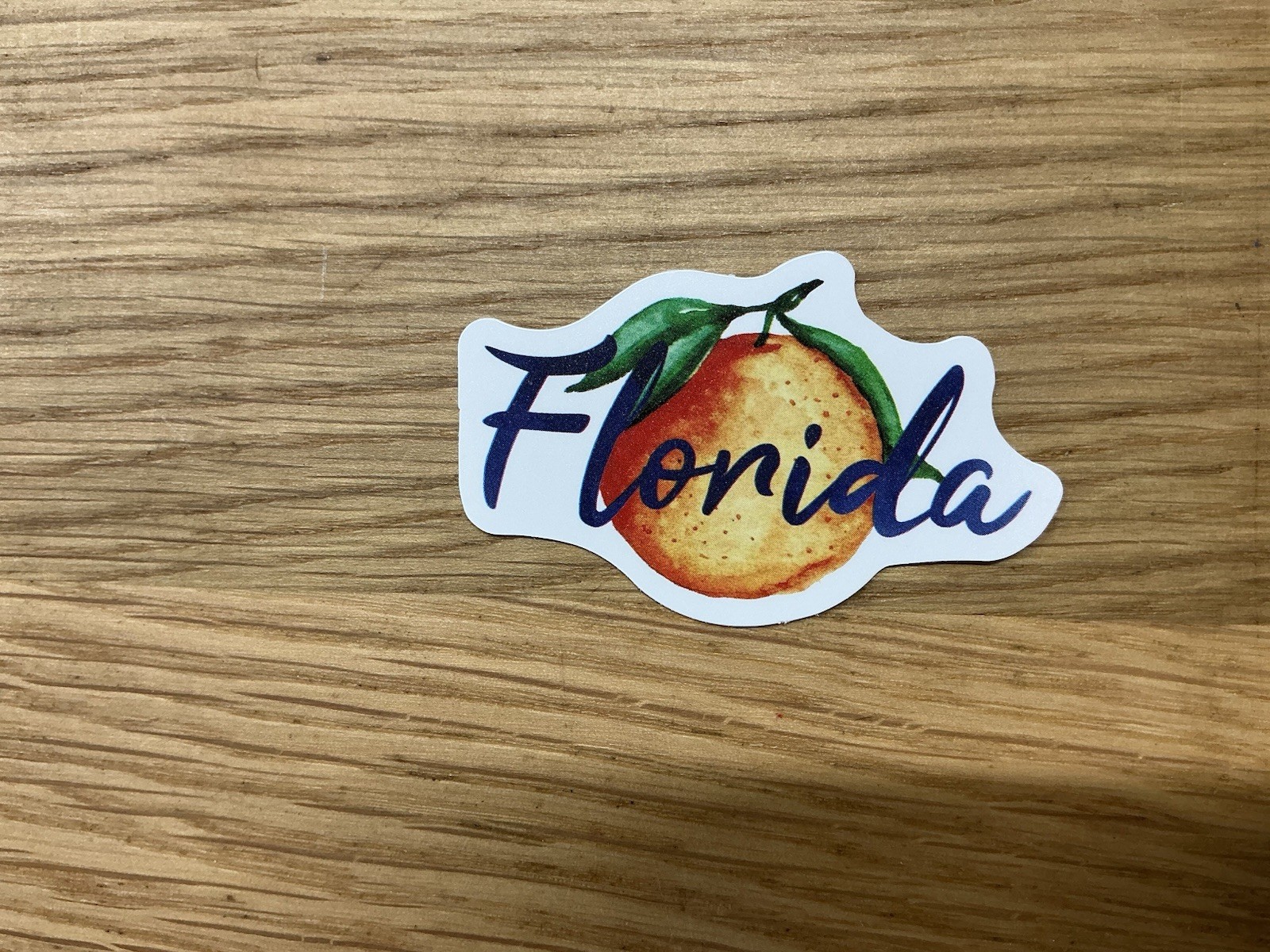 Florida Orange Sticker Travel Decal Journal