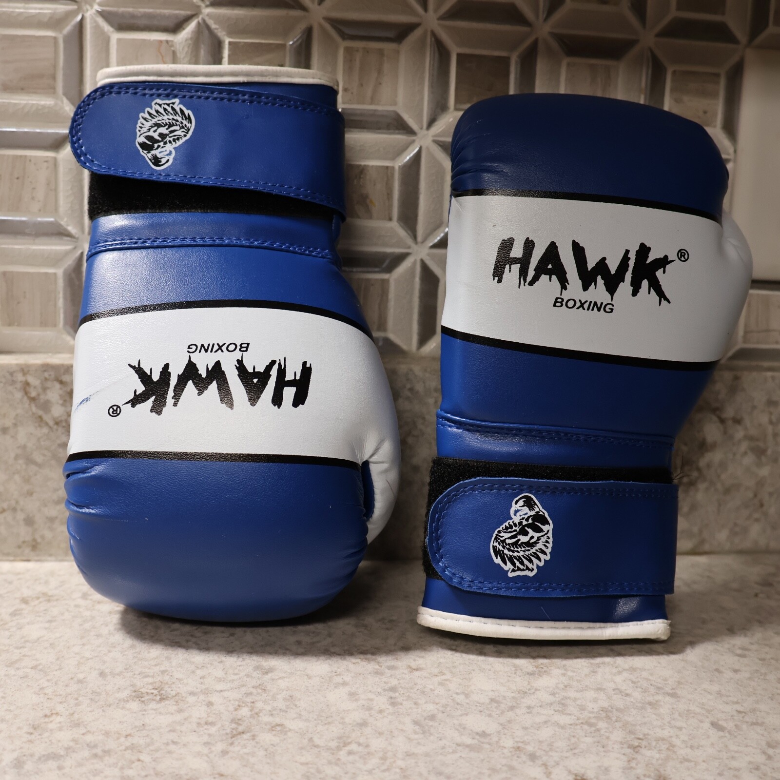 Hawk 6oz boxing gloves