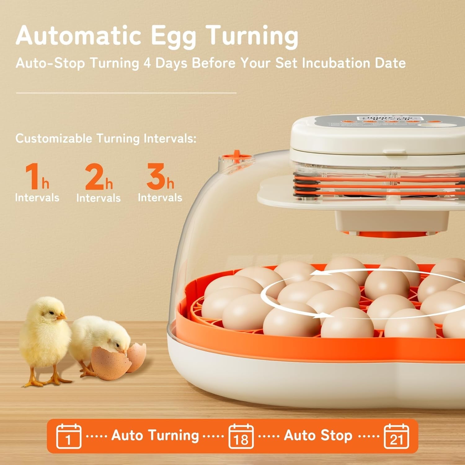 HatchPro 25: Advanced Incubator with Egg Candler & Support for Easy Hatching