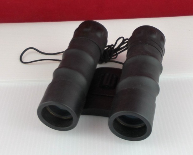 Tasco 10x25 Compact Binoculars, Fully Coated Optics